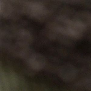 Meet your Posher, Tajah